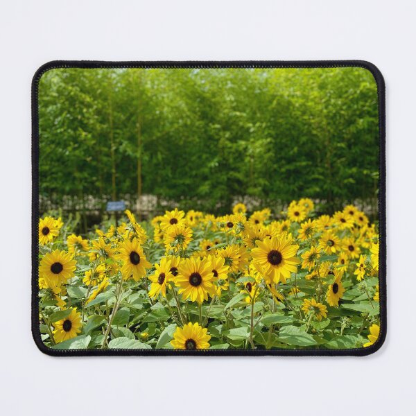 Item preview, Sunflower Patch designed and sold by palmerm4.