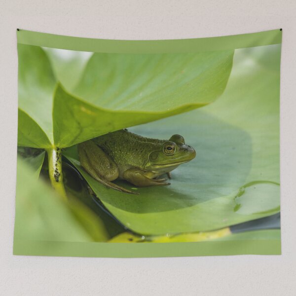Item preview, Bull Frog designed and sold by Michael Cummings.