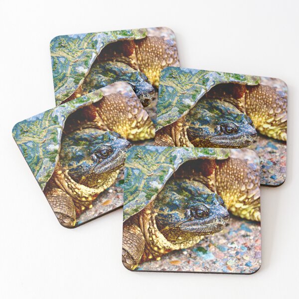 Item preview, An Oldie designed and sold by Jamison-Riedman.
