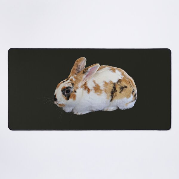 Item preview, Calico Rabbit designed and sold by Susan Savad.