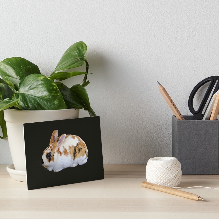 Item preview, Art Board Print designed and sold by SudaP0408.
