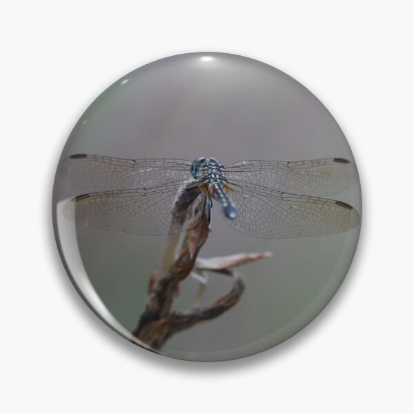 Item preview, One Very Cool Dragonfly designed and sold by LisaNaturePhoto.