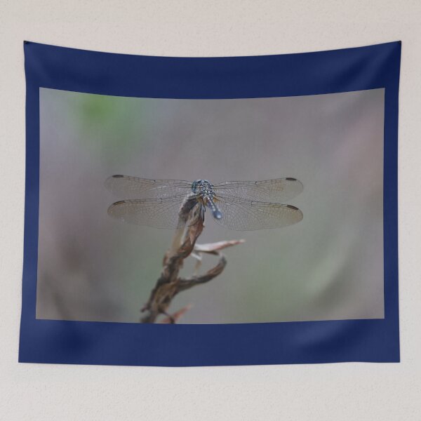 Item preview, One Very Cool Dragonfly designed and sold by LisaNaturePhoto.