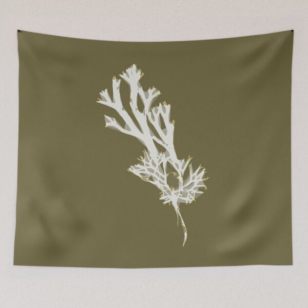 Item preview, Fucus ceranoides designed and sold by Lumot.
