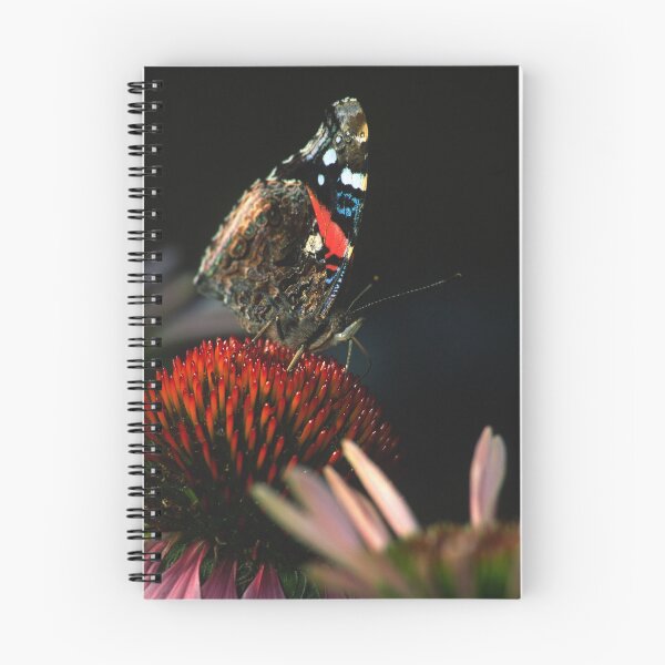 Item preview, Red Admiral Butterfly on Echinacea designed and sold by Bill Spengler's Photographic Thoughts.