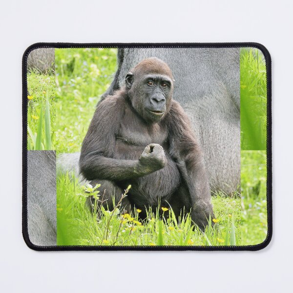Item preview, 538/ finition 2022 : Gorilla atitude and Expression of a human by Okaio Création  Olavia - Olao designed and sold by o.okaïo.