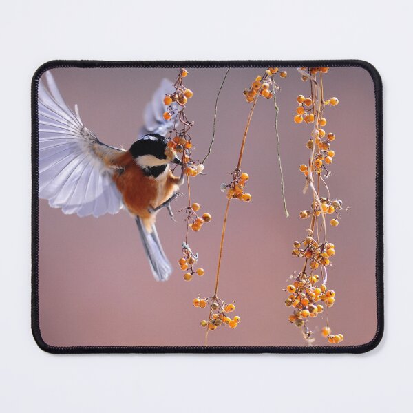Item preview, Bird designed and sold by marygov.