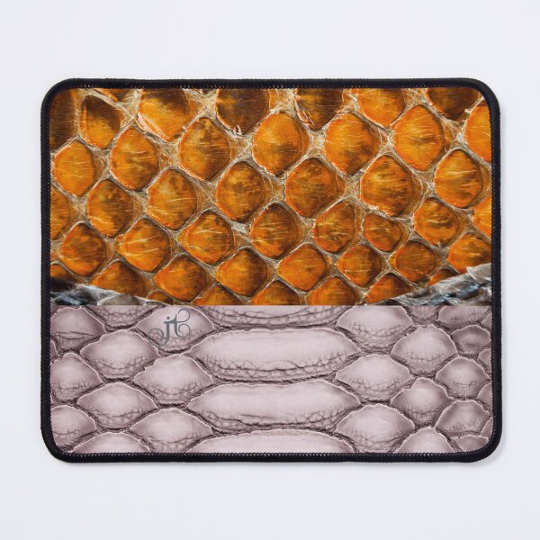 Item preview, Adder designed and sold by LibrosBOOKtique.