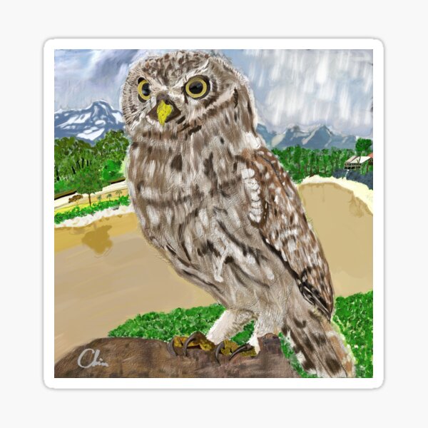 Item preview, OWL designed and sold by Artwork-ByChris.