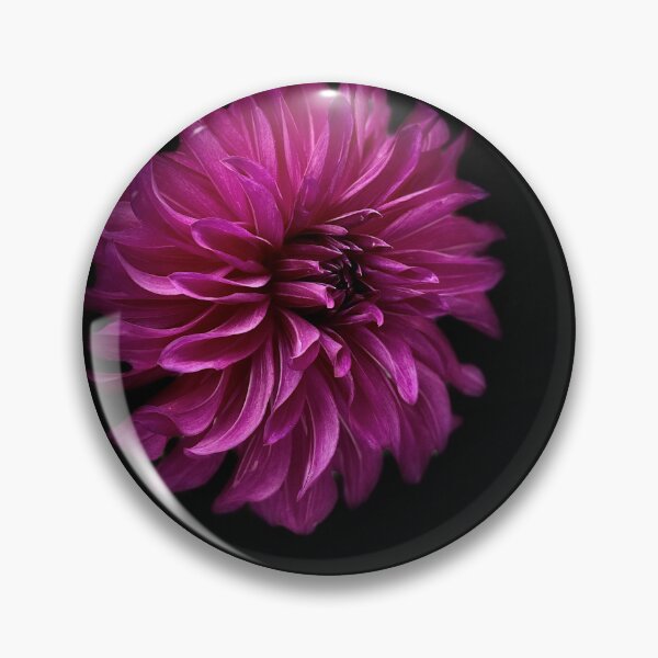 Item preview, Wild fuchsia dahlia designed and sold by Sarah Curtiss.