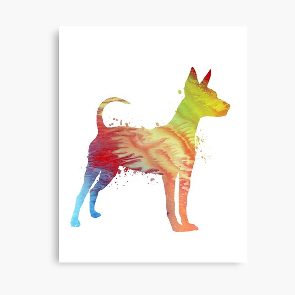 Miniature Pinscher Canvas Print