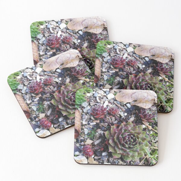 Item preview, Beauty can be found in the most unexpected places designed and sold by Raigitam.