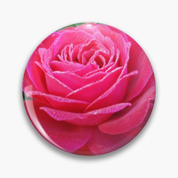 Item preview, Despite everything, this amazing red rose rises proudly designed and sold by Raigitam.