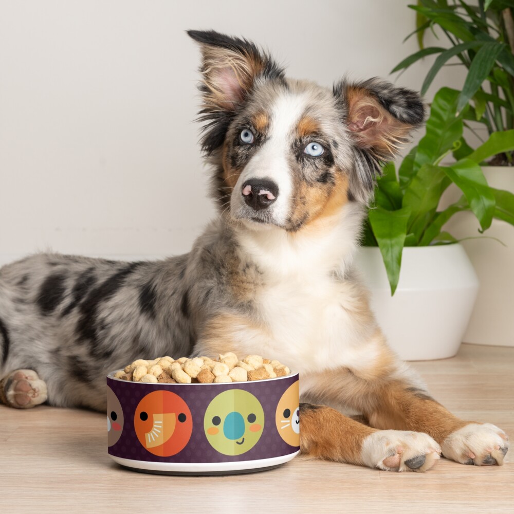 Smiley Faces Pet Bowl