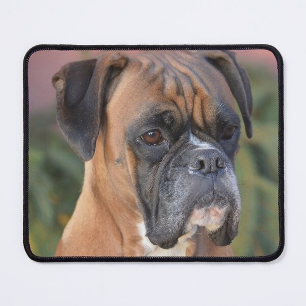 Item preview, Boxer Dog Puppy Curious designed and sold by DesignVertex.