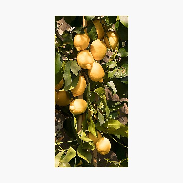 Item preview, Primavera Limoni designed and sold by PepperMendez.