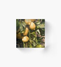 Primavera Limoni Acrylic Block