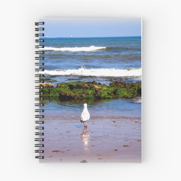 Item preview, Paddling Seagull designed and sold by Charmiene Maxwell-Batten.