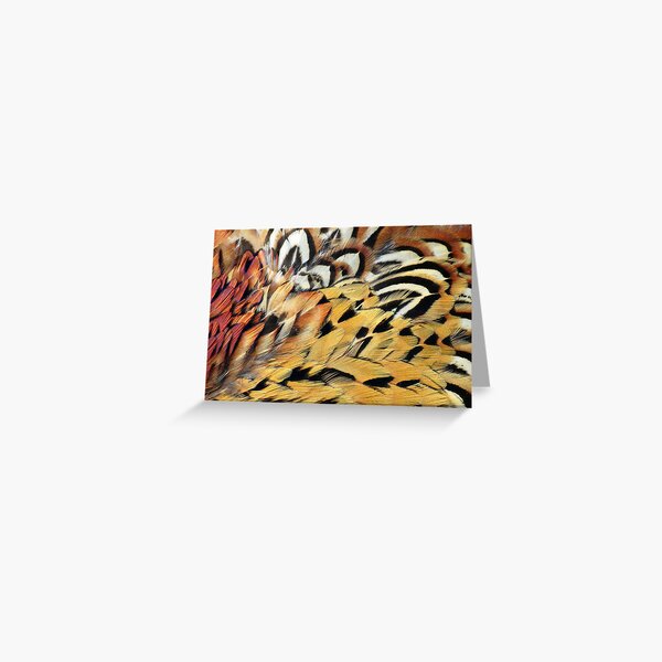 Pheasant Feathers Personalized Printed Note Cards – A.J.'s Prints