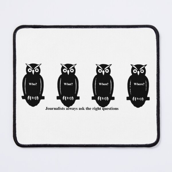 Item preview, Journalism, News Owls, News Questions designed and sold by LeJeuneGifts.