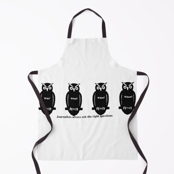 Item preview, Journalism, News Owls, News Questions designed and sold by LeJeuneGifts.