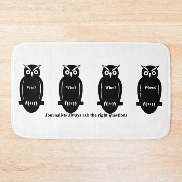 Item preview, Journalism, News Owls, News Questions designed and sold by LeJeuneGifts.
