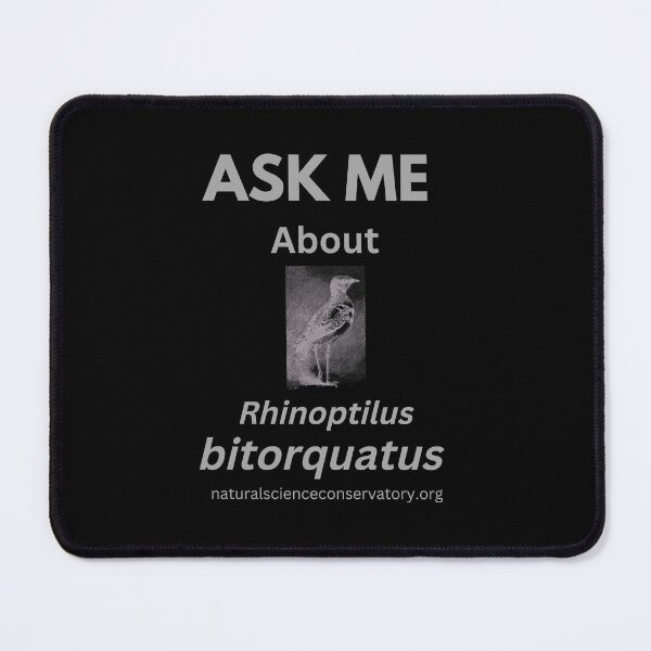 Item preview, Ask Me About Rhinoptilus bitorquatus (Jerdon's Courser) designed and sold by Discovered.