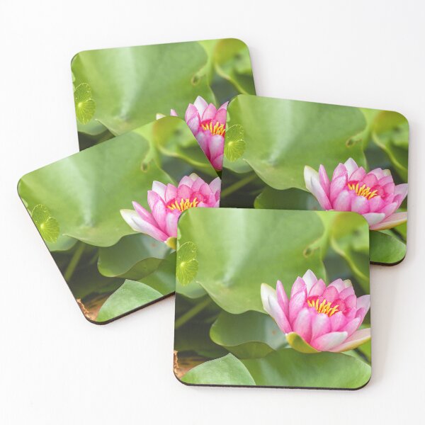 Item preview, Red Waterlily designed and sold by jvnimages.