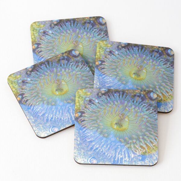 Item preview, Anemone  designed and sold by jvnimages.