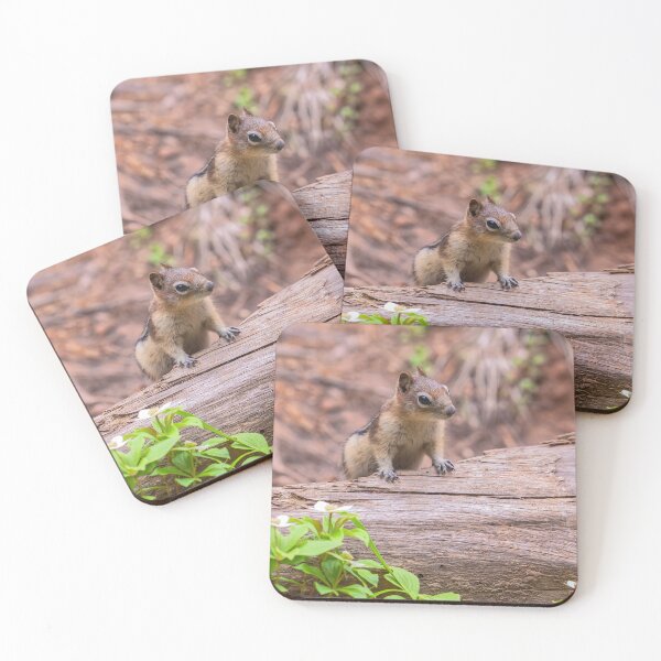 Item preview, Let Me Check It Out designed and sold by jvnimages.