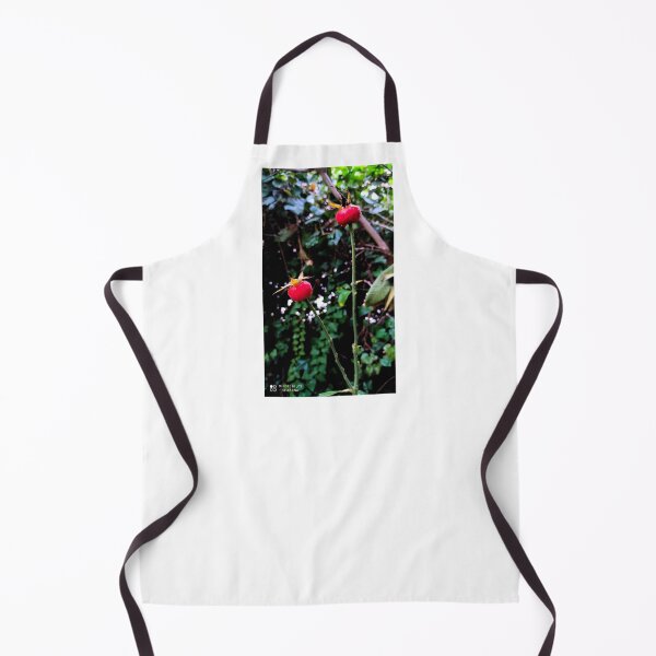 Item preview, Red Rose Hips designed and sold by Celestina Levant.