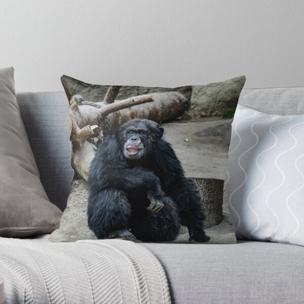 https://ih1.redbubble.net/image.424242981.7564/throwpillow,small,600x-bg,f8f8f8-c,0,120,600,600.u2.jpg