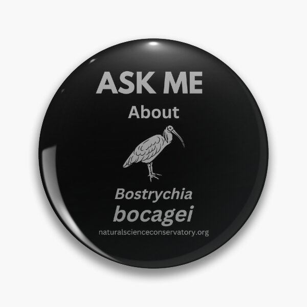 Artikelvorschau, Fragen Sie mich nach Bostrychia bocagei (Zwergsichler) entworfen und verkauft von Discovered.