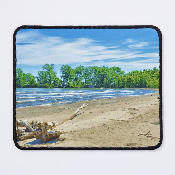 Item preview, Driftwood on the Beach designed and sold by rmyerphoto.