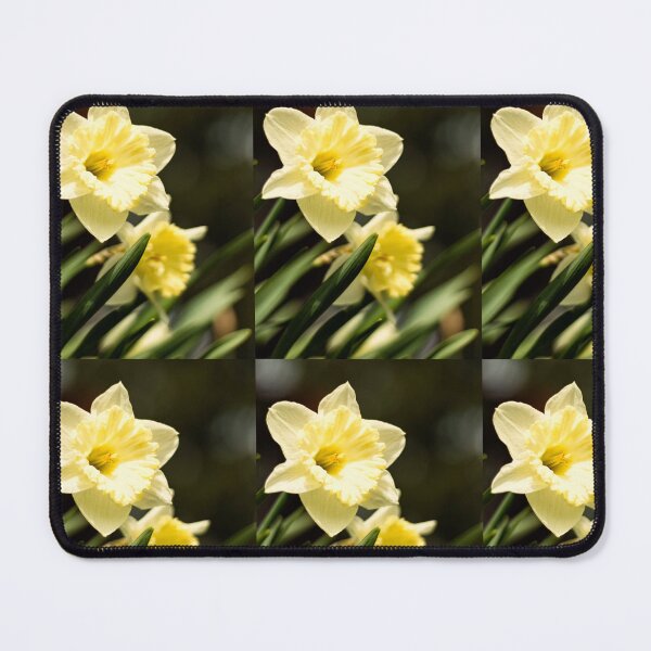 Item preview, Daffodil duet designed and sold by Joel Bader.