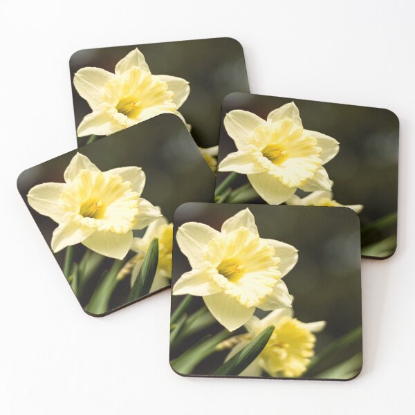 Item preview, Daffodil duet designed and sold by Joel Bader.