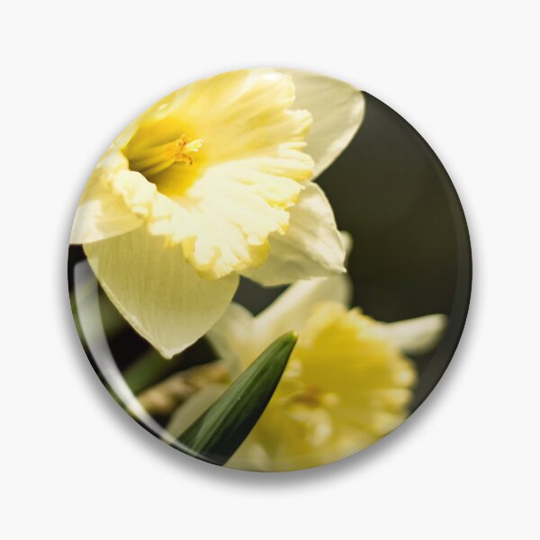 Item preview, Daffodil duet designed and sold by Joel Bader.