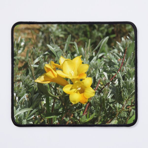 Item preview, Yellow freesias designed and sold by greentiger1.