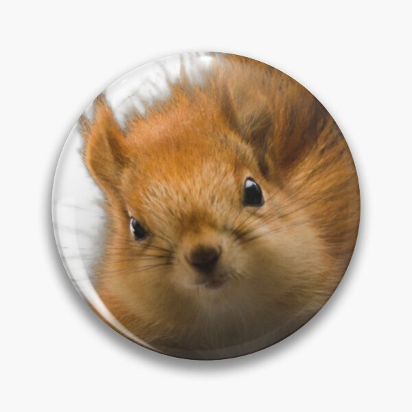 Item preview, Beautiful little squirrel  designed and sold by Elkhomsiy.