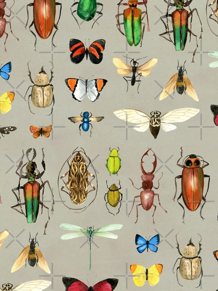 The Usual Suspects - Insects on grey - watercolour bugs pattern by Cecca Designs by Cecca-Designs