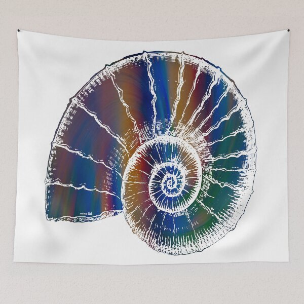 Item preview,  The Nautilus shell Transparent 2 designed and sold by Rocky Mountain Artistry.