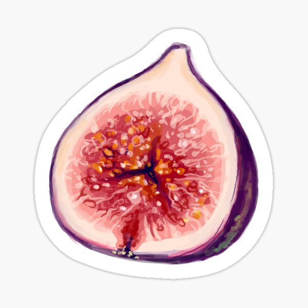 Curious Fig Sticker