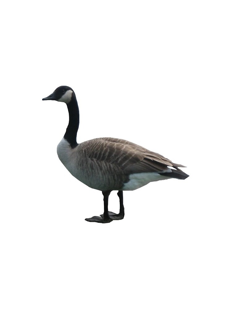 Thumbnail 5 of 5, iPhone Case, Goose Sticker designed and sold by DanielShoeBox.