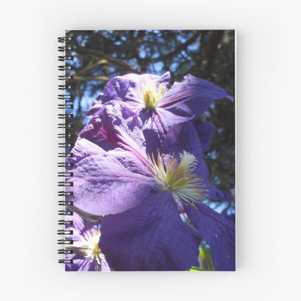Item preview, Purple Clematis designed and sold by Kashmere1646.