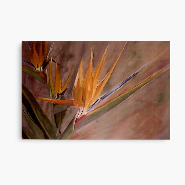 Paradise - Painting by Avril Thomas - Adelaide / South Australia Artist Canvas Print