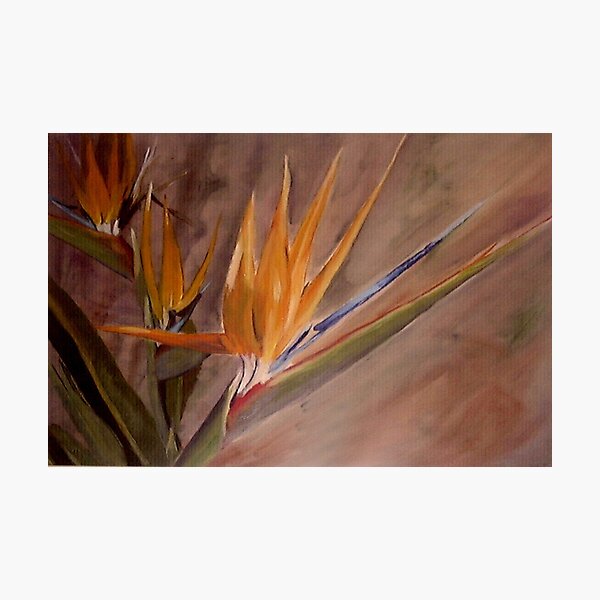 Paradise - Painting by Avril Thomas - Adelaide / South Australia Artist Photographic Print