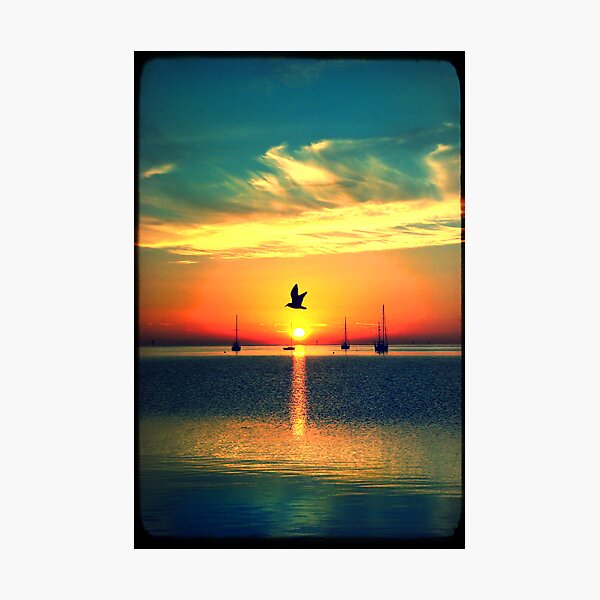 Early Morning Commuter Photographic Print