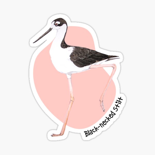 Black-necked Stilt Sticker