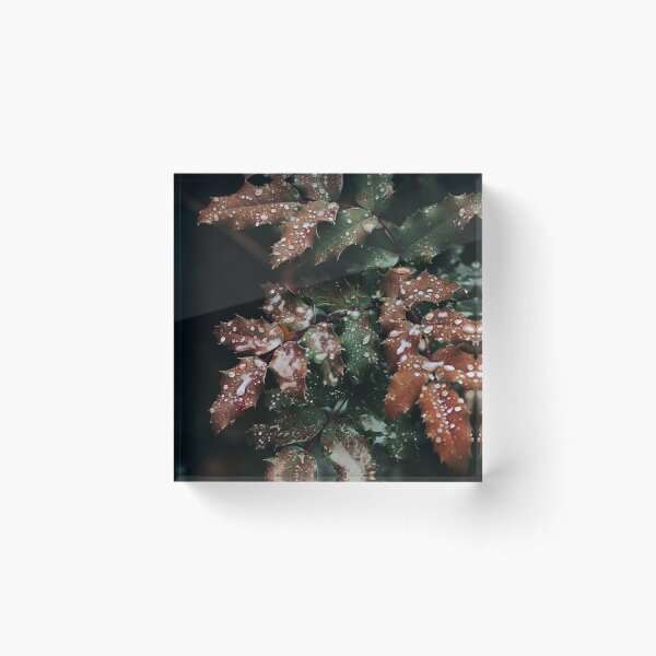 Item preview, Dew On Leaves designed and sold by Taceo10.