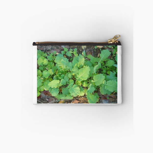 Item preview, Fall Kale Garden in Alabama designed and sold by Vivian Eagleson.